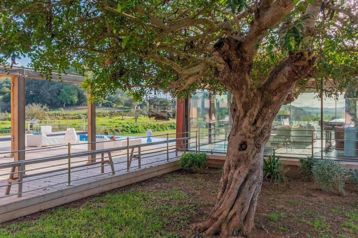 Villa Relax En El Campo Con Piscina En Mallorca Sineu (Mallorca)
